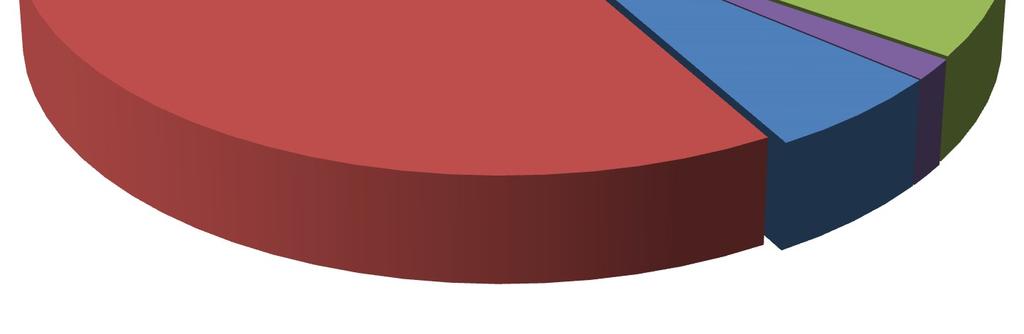 , analytik - akcie Komentář portfolio manažera Aktiva Raiffeisen privátního fondu dynamického byla v první polovině roku 2017 opět alokována zejména