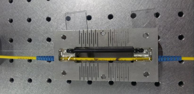 Měřící i kompenzační vláknová mřížka jsou umístěny ve středu senzoru. K ochraně senzoru se používá pouzdro, které zamezuje vniku vody do konstrukce senzoru.