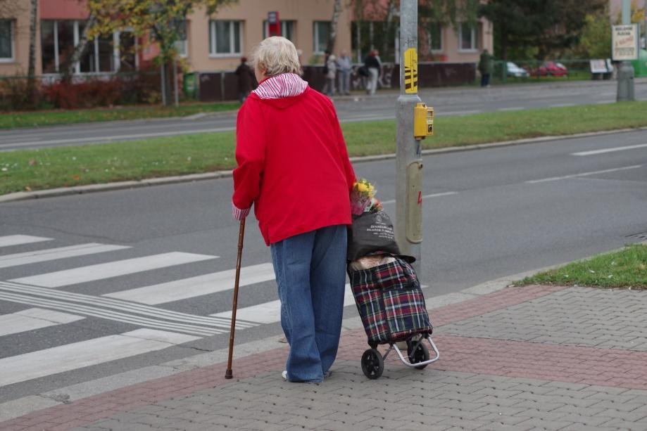 sociální služby 35 volný čas a zaměstnání 30 kultura 20