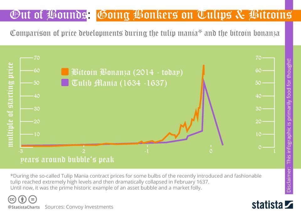 hodnotu 67 a i přes pozdější zásahy státu uvedlo toto šílenství podezření na spekulativní investice po dlouhou dobu. 68 Obr. 9: Grafové porovnání vývoje ceny bitcoinu a tulipánů během bubliny.