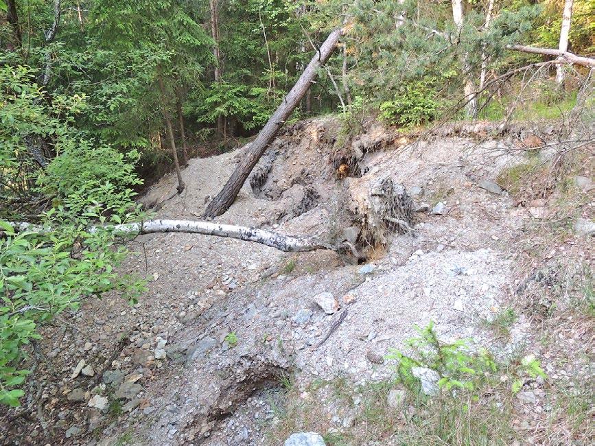 Převládají zde mezozonálně metamorfované sedimentární horniny mladoproterozoického stáří (biotitické až dvojslídné ruly někdy s granátem a sillimanitem, kvarcitické pararuly, granátické amfibolity až