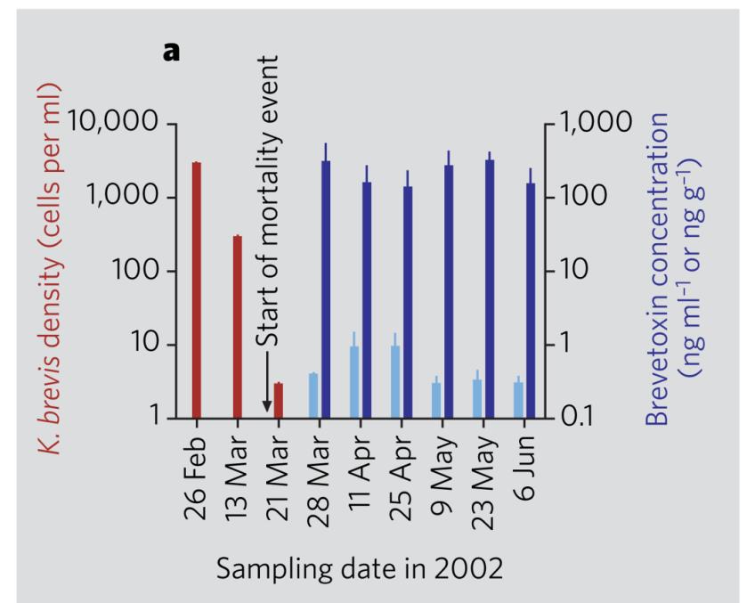 Vysoká hladina brevetoxinu v prostředí i po odeznění vodního květu Karenia brevis concentrace