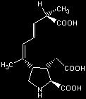 ASP Domoic acid Poprvé izolována z ruduchy Chondria armata (v Japonsku známá pod názvem domoi). Dlouho používána v tradiční medicíně pro své antihelmintické účinky.