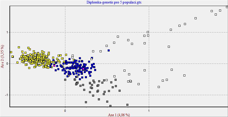 Každý čtvereček představuje jednoho jedince. Na tomto výstupu jsou dobře oddělena všechna plemena podle barev. Pouze plemeno KG vykazuje vysokou míru vnitřní variability.