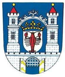 Poprvé je zmiňováno roku 1257 jako Racownik. Město, dříve slovanské, později trhová ves z dob Václava II., nese název odvozený od raků, kterých byl plný potok protékající městem. Ve 13.