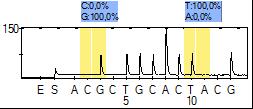 korkovrtem typické léze (Ø cca 6 mm) a shromážděny ve zkumavce o objemu 50 ml. Pro extrakci DNA se rostlinný materiál homogenizuje v kapalném dusíku za míchání s předchlazenými kuličkami (Vortex).