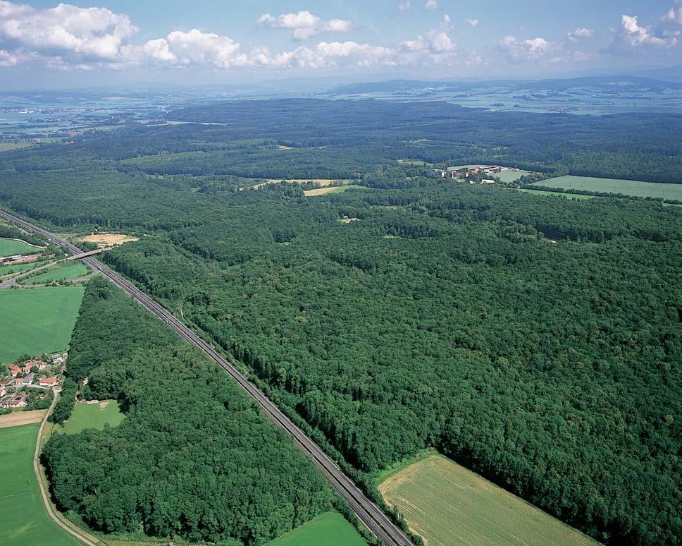 Olomoucko CHKO LITOVELSKÉ POMORAVÍ Severní ãást CHKO Litovelské Pomoraví. Na pfiedcházející stranû: Pfiirozenû meandrující níïinn tok fieky Moravy s v vraty a naplaveninami.