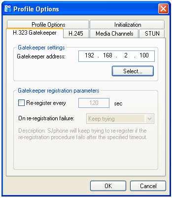Obr. 11 Profile Options H.323 Gatekeeper Položka na obrázku (obr.