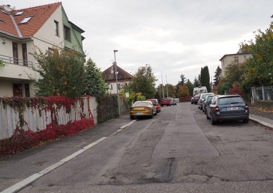 Po bitvě uprchl s králem Fridrichem Falckým. Rod Bubnů po staletí patřil mezi starou českou šlechtu.