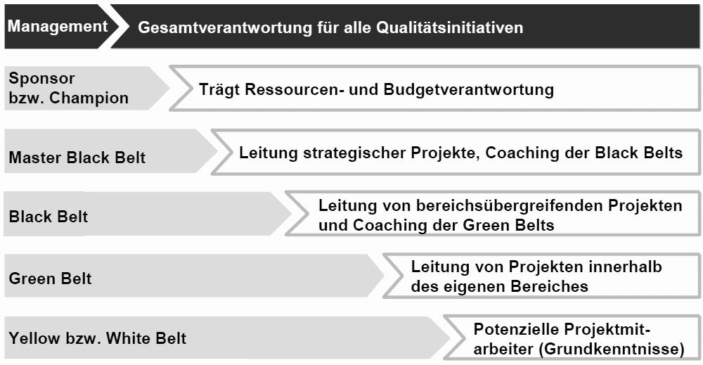 Příloha 11 Členění a stupňování hodností v Six Sigma