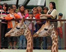 Po roční přestávce zavedla ZOO Olomouc o prázdninách opět komentované krmení zvířat.