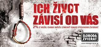 Svetový deň zvierat oslavujeme 4.októbra. Prvý krát bol oslávený v roku 1931 vo Florencii počas stretnutia ekológov.