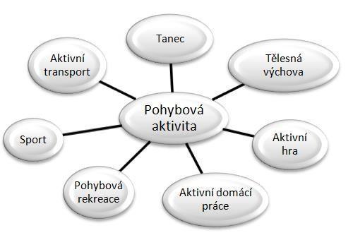 Pohyb je jednou z nejdůležitějších fyziologických potřeb každého člověka. Bez pohybu bychom nepřežili víc než jen pár dnů. Tedy pokud bychom nebyli jinak, například intravenózně vyživováni.