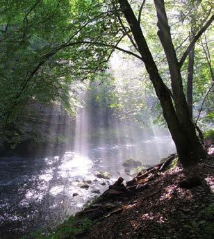 Tichá aukce Poděkování partnerům 128 Lenka Dunajová Krajina vypráví fotoplátno 40 x 30 cm Děkujeme všem autorům výtvarníkům, umělcům a fotografům kteří věnovali svá díla do aukce.