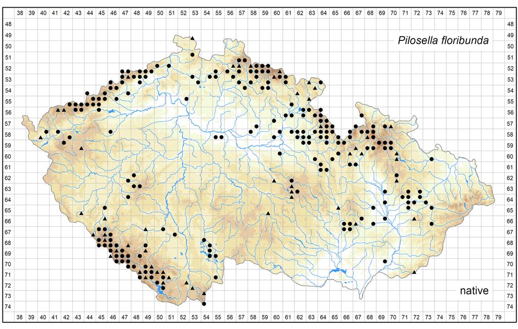 Distribution of Pilosella floribunda in the Czech Republic Author of the map: Jindřich Chrtek jun.