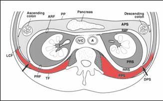 Zadní pararenální prostor mezi zadní renální fascií a