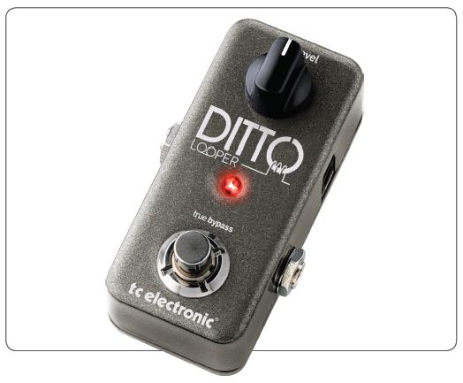 tc electronic ditto