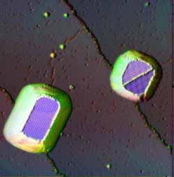 The left island is 2.8 nm thick. Among the islands, the substrate is covered with a monolayer of GdFe2.