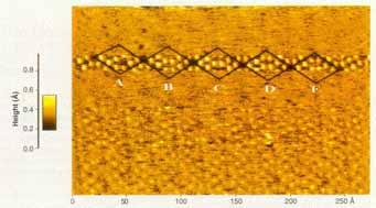 Atomic resolution in FM-AFM:Si(111)-7x7 AFM STM faulted