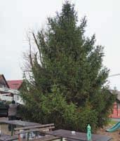 Pevnû vûfiím, Ïe nám k postupu do vy í tfiídy, kde je s námi hned pût hork ch kandidátû, pomûïe i doplnûní kádru o dva mladé, ale zku ené hráãe.