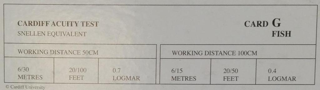 Obr. 14 Ukázka štítku na zadní straně karty. Konkrétně se jedná o kartu G s rybou (archiv autorky).