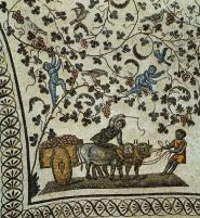 Obr. 22 Sklizeň vína, 4. století, mauzoleum S.