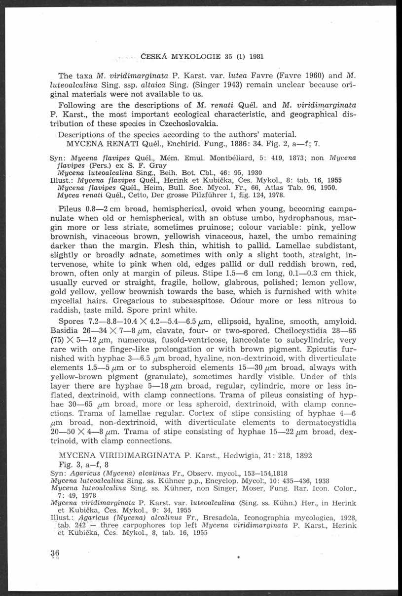 Č e s k á m y k o l o g i e 35 (i) i98i The taxa M. viridim arginata P. Karst. var. lutea Favre (Favre 1960) and M. luteoalcalina Sing. ssp. áltaica Sing.