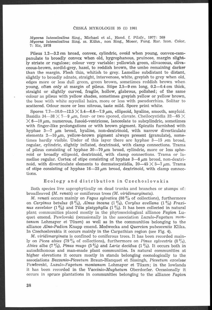 CESKÄ M Y K O LO G E 35 (1) 1981 Mycena luteoalcalina Sing., Michael et al., Hand. f. Pilzfr., 1977: 269 Mycena luteoalcalina Sing. ss. Kühn., non Sing., Moser, Fung. Rar. con.