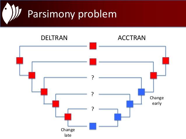 ACCTRAN/DELTRAN optimalizace pro situace, kdy je počet záměn stejný, ale jsou různé varianty