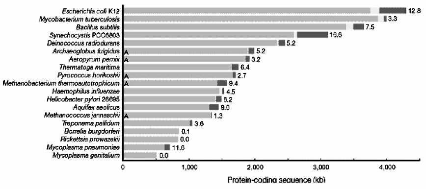 Horizontální genový přenos Metody studia přímé: Subtraktivní hybridizace Microarrays nepřímé: