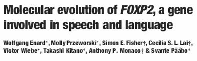FOXP2 důležitý lidský gen (forkhead box P2) FOXP2 - důležitá pro rozvoj řeči, mutace v rodinách s poruchou řeči - souvislost s chápáním pojmů, gramatika,