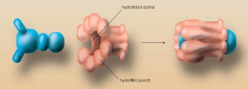 Periferní myorelaxancia kompetitivní kompetitivní antag. ACH obsazují postsynaptické nikotinové receptory nevyvolávají depolarizaci pachykurarové látky histaminoliberační úč. farmakologické úč.