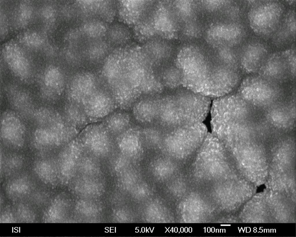 Obrázek 6.23: Snímek vzorku NCD21 pořízený elektronovým mikroskopem se u této vrstvy pohybovala okolo 45 GPa a pro elastický modul byla naměřena hodnota maximálně 450 GPa.