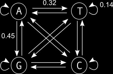 Kapitola 3 Skryté Markovovy modely Skryté Markovovy modely (angl. Hidden Markov models, zkráceně HMM) jsou jednou z metod strojového učení používaných v bioinformatice k hledání genů v DNA sekvencích.