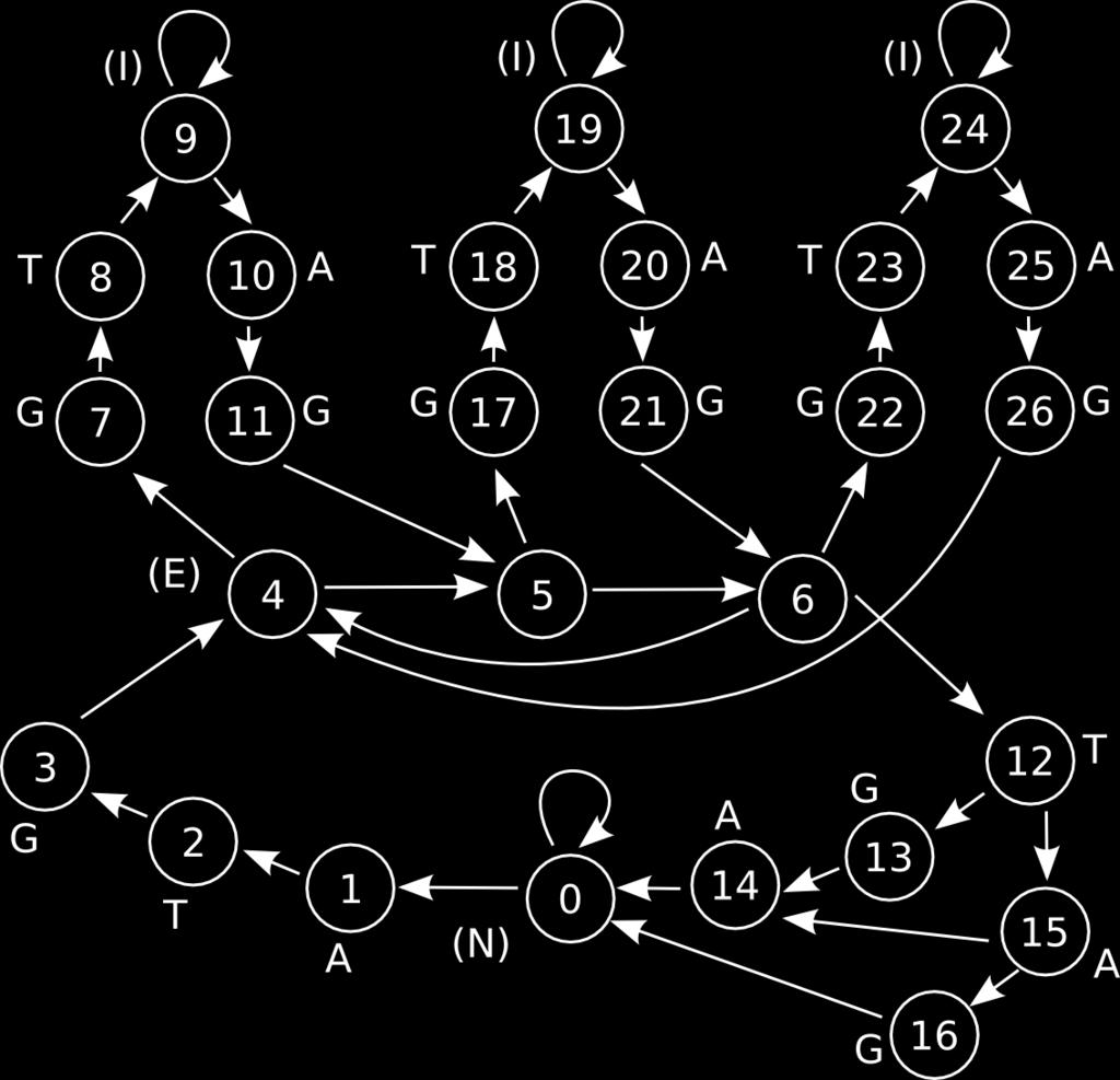 4.4 Možnost přerušení kodonu intronem (Model I.) Jak jsme si již uvedli, exony jsou tvořeny sekvencí kodonů a exony mohou být přerušovány introny.