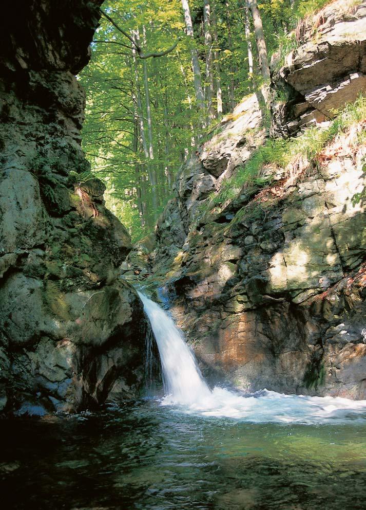 Olomoucko GEOLOGIE Soutûska svírající koryto Stfiíbrného potoka avytváfiející skalnaté prahy, které daly vznik soustavû kaskád a pefiejí s vyvinut mi evorzními aerozními jevy.