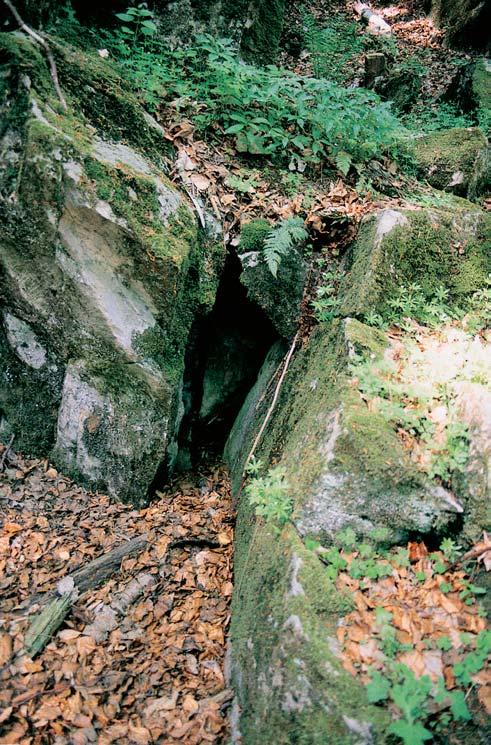 Olomoucko GEOLOGIE Krasová oblast tvofiená vrstvami krystalick ch vápencû (mramorû) stfiednû aï svrchnû devonského stáfií.