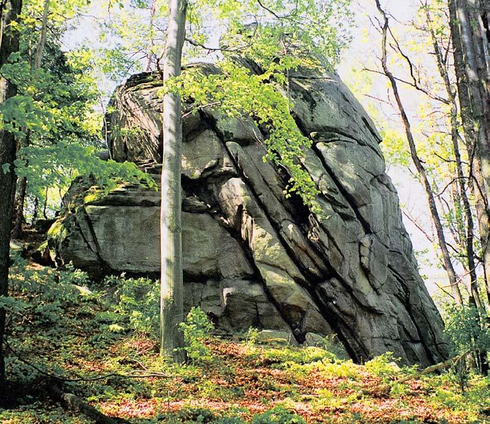 Olomoucko GEOLOGIE Vrcholová Ïulová skála s max. v kou 0 m, pravidelnû rozpukaná, na vodorovn ch plochách jsou pozoruhodnû vyvinuty drobné tvary zvûtrávání.