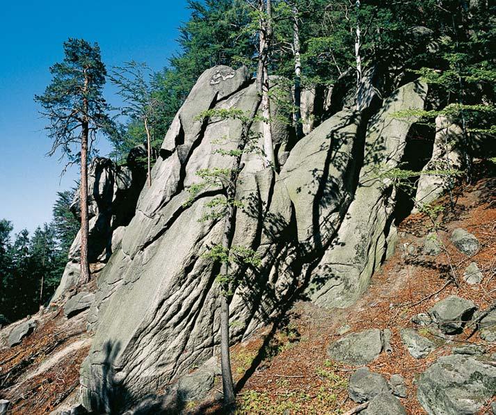 Okres Jeseník Národní pfiírodní památka Venu iny misky Vrchol kopce Smoln (404,0 m n. m.) s ostrohem Ïulov ch skalisek v souvislém lesním celku BaÏantnice, asi km jihov chodnû od obce Kobylá nad Vidnávkou.