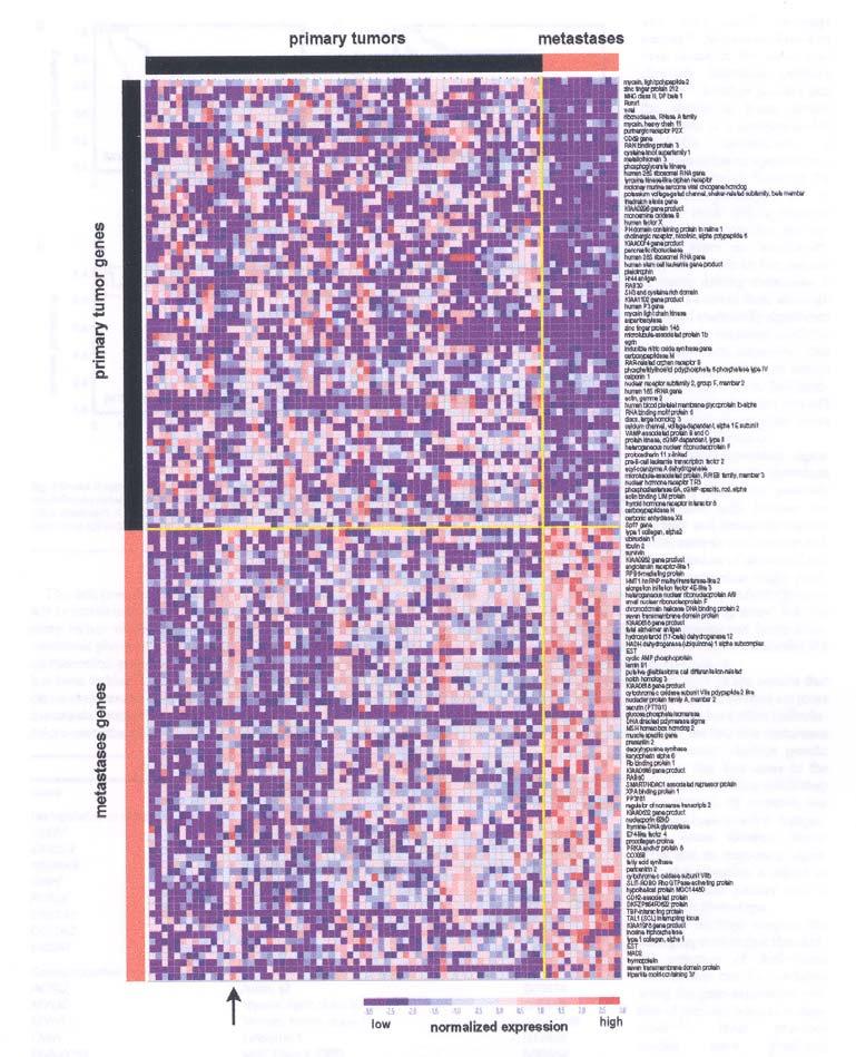 nalýza genomických a proteomických dat Gene expression profiles Discrimination power?