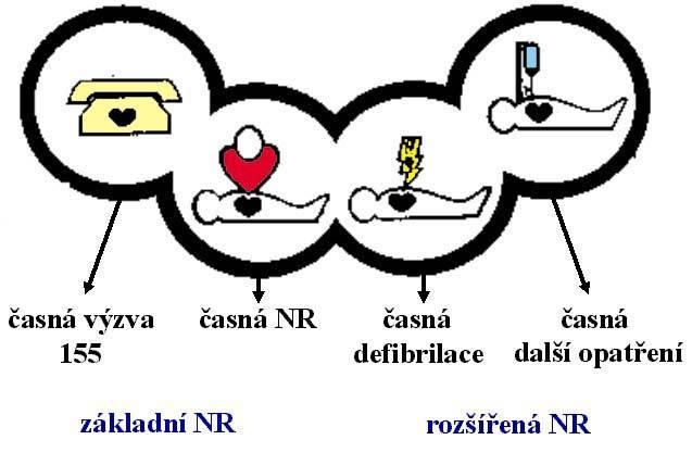 Řetěz přežití Neodkladná resuscitace (NR) Obr. 2 Poskytovat základní neodkladnou resuscitaci jsou povinni všichni občané.