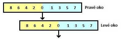 AC 8 Výpočet příkladu: AC / A = = = 4 : 1 A 2 Obr. 19: Horizontální odchylka 4 pd exo Obr.