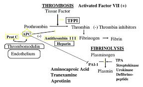 ANTIFIBRINOLYTIKA: TRANEXAMOVÁ KYSELINA Tranexamová