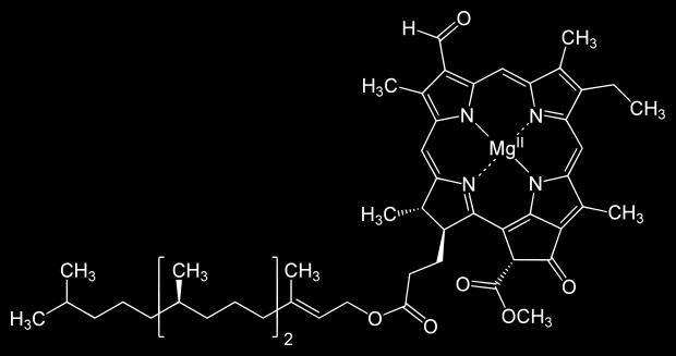 c Chlorofyl d