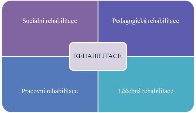 2. REHABILITACE Rehabilitaci velmi obecně definuje Seidel (2004) jako činnost, jejímž cílem je optimální znovuobnovení fyzických, psychických, sociálních a pracovních schopností jedince, které byly