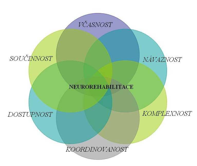 Důležitost ucelené rehabilitace zejména spolupráci lékaře, ergoterapeuta, fyzioterapeuta, logopeda, ošetřujícího personálu a dalších potvrzuje ve své rozsáhlé studii Important Clinical Studies in