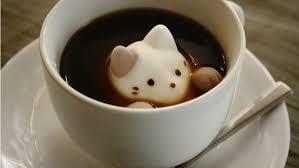 Návykové látky: kofein Už 200 mg kofeínu (2 šálky kávy robusta) zvyšuje hladiny