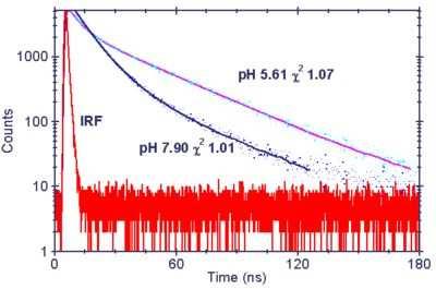 Indikátory ph lifetime ph indikátory fluorofor rozsah ph způsob měření čas vyhasínání ovlivněn hodnotou ph SNAFL indikátory 7,2-8,2 Ex 490/540 nebo Em 540/630 výhoda: při měření tau nezáleží na