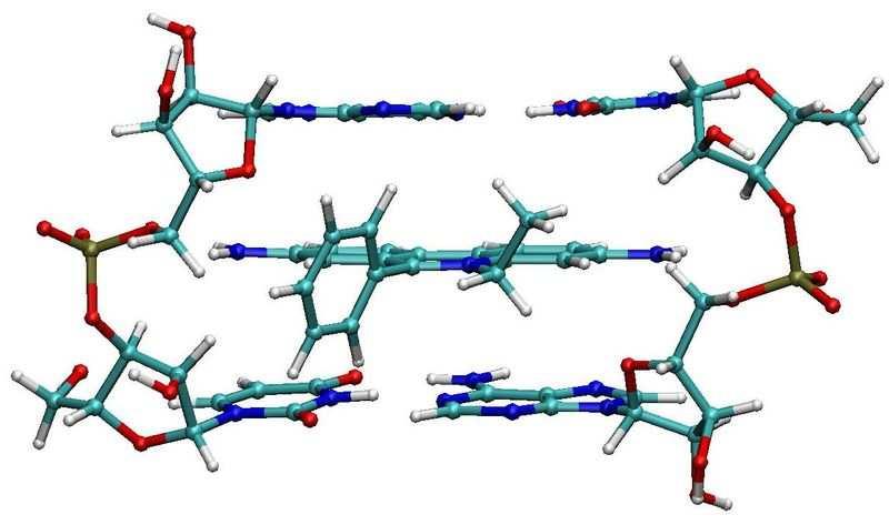 Příklady sond pro NK fluorofor λ ex max (nm) λ em max (nm) použití Akridinová oranž (DNA) Akridinová oranž (RNA) 500 460 526 650 prostupuje; RNA/DNA; průtoková cytometrie Ethidium bromid 518 605