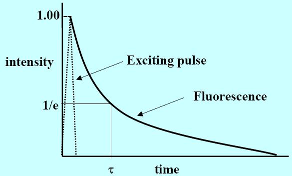 Čas života (lifetime) fluoroforu nestudujeme jednu molekulu s fluoroforem, ale mnoho molekul s populací elektronů na excitovaných hladinách na základě studia systému z mnoha molekulami určujeme čas
